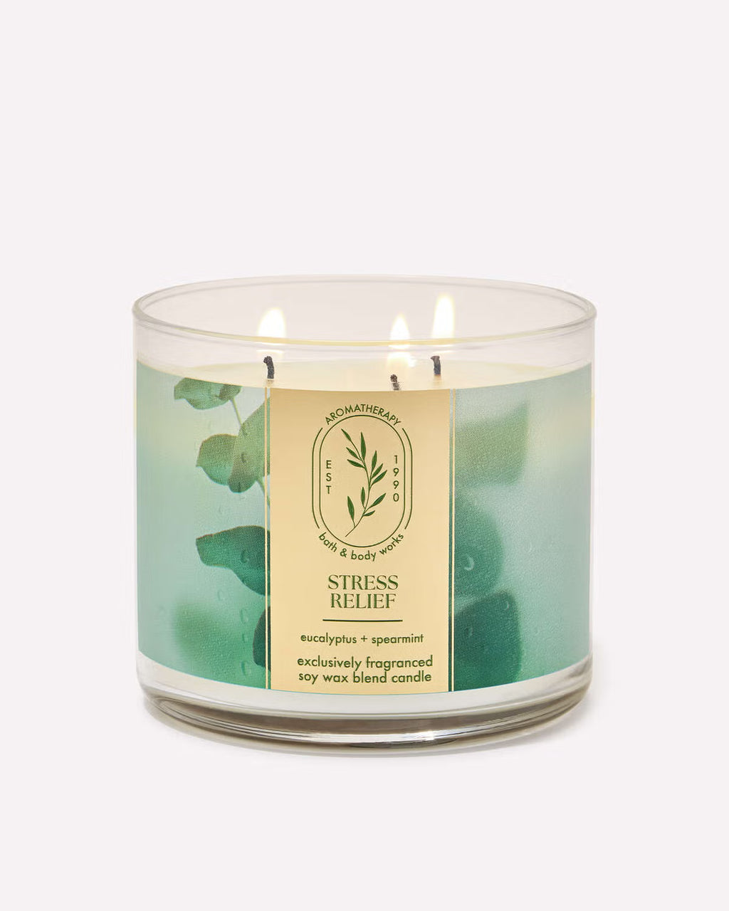 3 Wick Candle