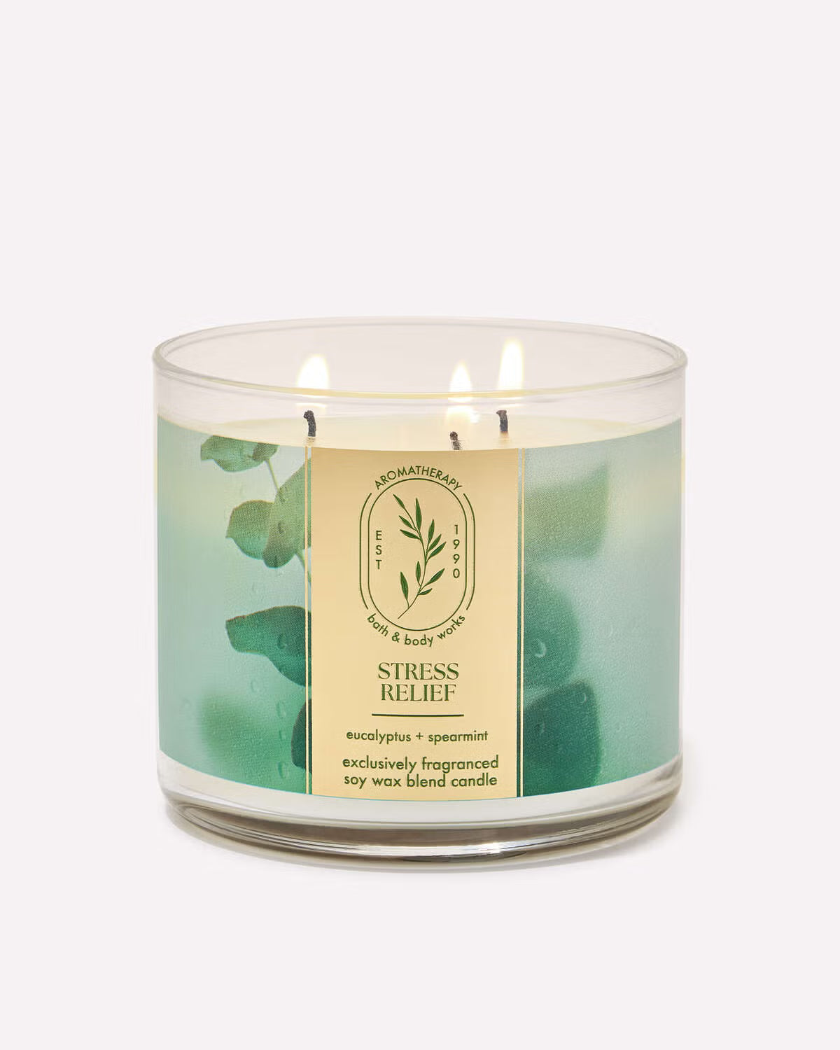 3 Wick Candle