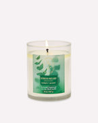 Single Wick Candle
