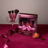 Mini Make Up Brush And Sponge Gift Set - 4ct