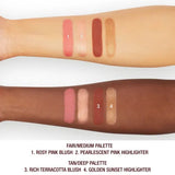 PRE - ORDEN NEW! HOLLYWOOD BLUSH & GLOW GLIDE PALETTE