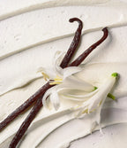 Vanilla Cashmere Body Lotion