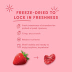 Freeze Dried Strawberries in Dark and White Chocolate - 1.7oz