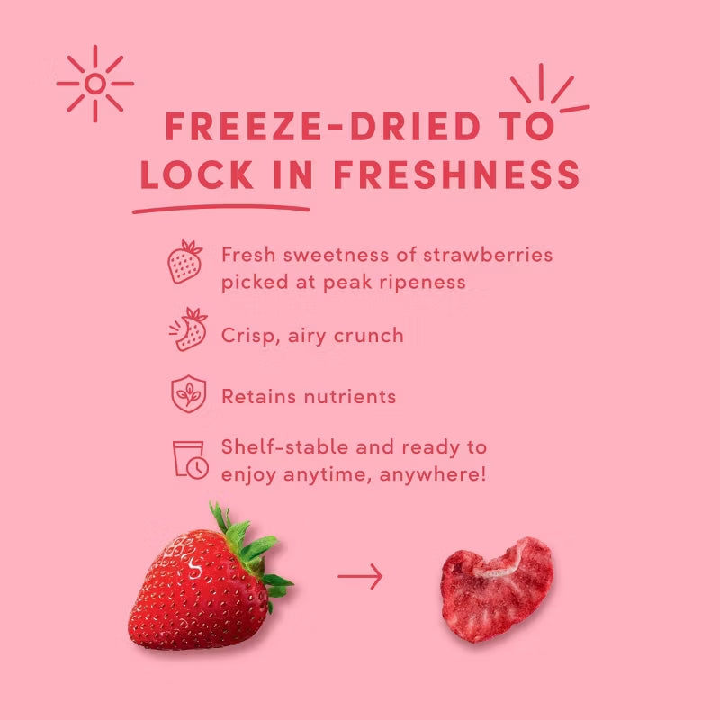 Freeze Dried Strawberries in Dark and White Chocolate - 1.7oz