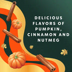Starbucks Creamer Dairy Pumpkin Spice Coffee Creamer - 28 fl oz