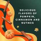 Starbucks Pumpkin Spice Non-Dairy Almondmilk & Oatmilk Coffee Creamer - 28 fl oz