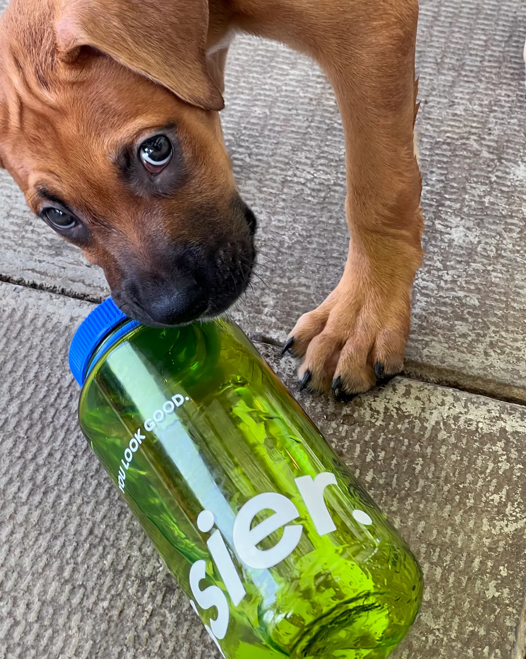 Water Bottle 32 oz
