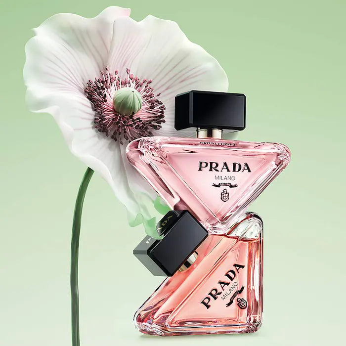 Mini Paradoxe Discovery Set