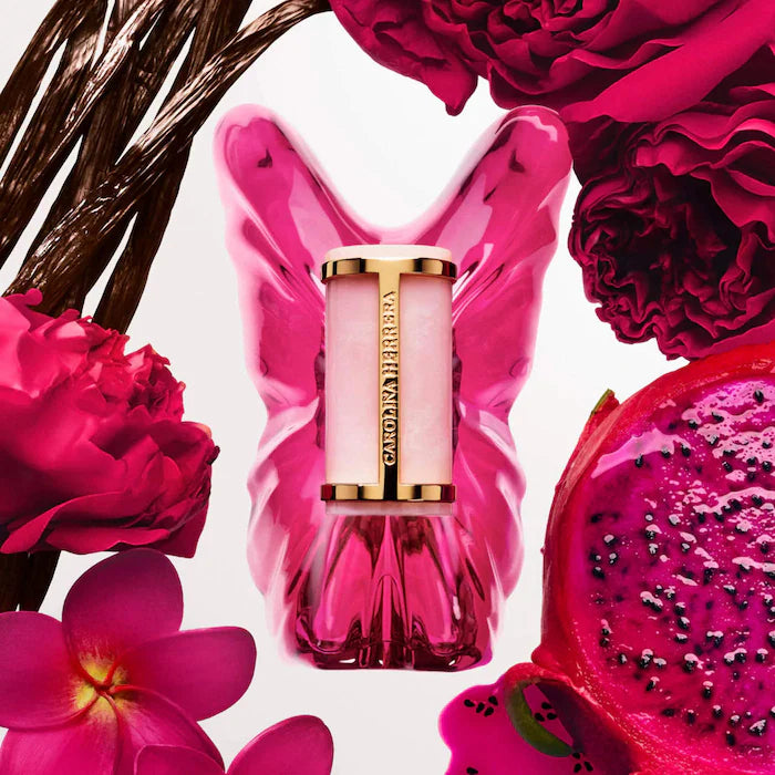 PRE-ORDEN Holiday Perfume Sampler Vault Set w/ Redeemable Voucher